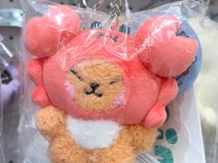 -line friends(明洞旗舰店)