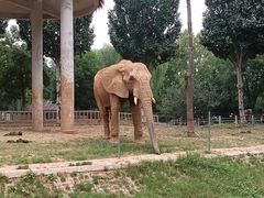 -石家庄市动物园