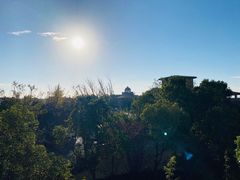 -上海崇明金茂凯悦酒店