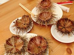 -海胆小馆(东北水饺·春柳店)