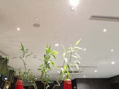 -红棉中餐厅·广州海航威斯汀酒店