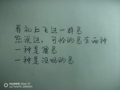 -今日艺术汇书店