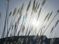 -半坡国际艺术区