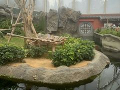 -香港海洋公园