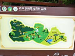 -西双版纳原始森林公园