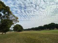 -银涛高尔夫练习场(徐泾店)