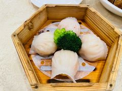 虾饺-麒麟中餐厅·经典粤菜·地道菜式老字号(广州长隆酒店)