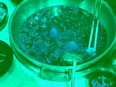 -味之绝热血美蛙鱼火锅(中坝店)