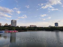 -莲花池公园