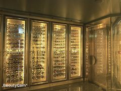 -迪拜帆船酒店海底餐厅