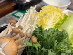-禄婶鸡煲·打边炉