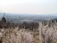 -白水寺森林公园