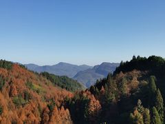 -山王坪喀斯特国家生态公园
