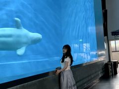 -芜湖新华联大白鲸海洋公园