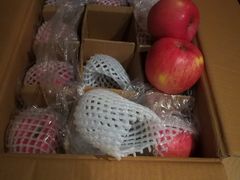 -江杨农产品批发市场