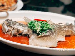 古法蒸黄骨鱼-滋粥楼·顺德菜(番禺广场总店)