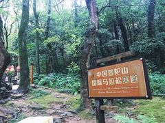 景点-普陀山慧济禅寺
