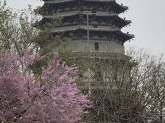 -天宁寺