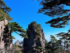 -黄山风景区