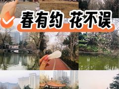 -西苑公园