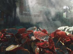 -Chom Cafe and Restaurant