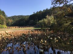 -韶山毛泽东同志故居