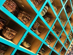 -猫咪博物馆(顶澳仔猫街店)