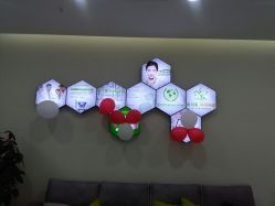 -莱可美科技美肤