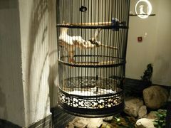 -清真·京华源铜锅涮肉(丰庆店)