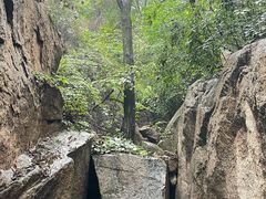 -大岭沟猕猴桃谷风景区