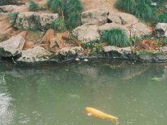 -杭州植物园