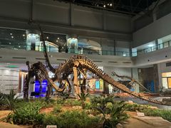 -自贡恐龙博物馆