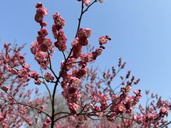 -绍兴镜湖国家城市湿地公园