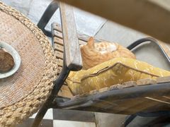 -251#coffee roasters(沿河东路店)