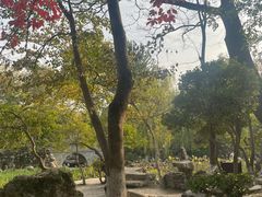 -莲湖公园
