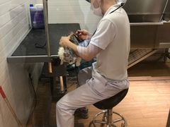 -Pets First伊珊娜洗护·精致美容·家庭式寄养(新会路店)