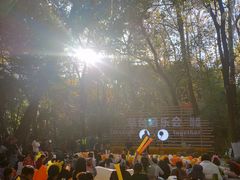 -杭州半山国家森林公园