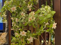 -芸山季·云南山珍菌火锅(人民广场来福士店)