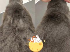 -comecome来吧宠物(奥克斯中心店)