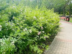 -坝河休闲公园