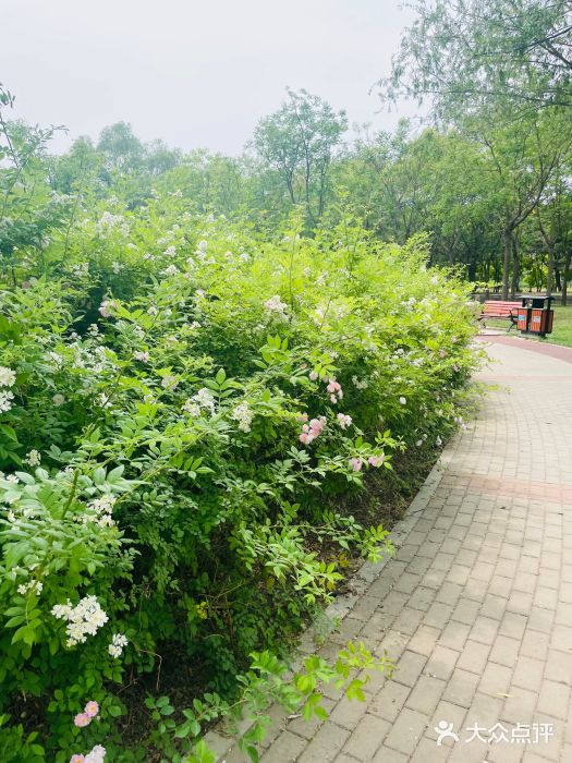 坝河休闲公园图片