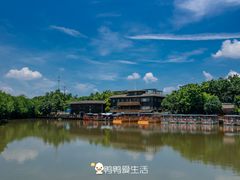 -大湾区中央湿地公园