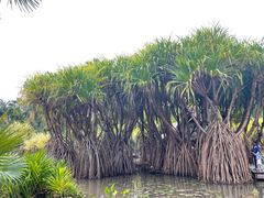 -中国科学院西双版纳热带植物园