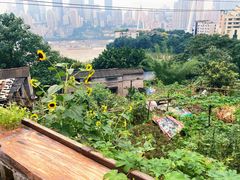 -悟饮门市景店