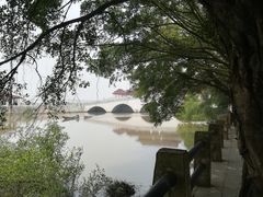 -大湾区中央湿地公园
