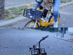 -三里屯东五街银杏大道