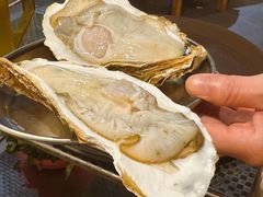 -阿鸡鱼庄·顺德鲜蒸小炒(亚运村店)