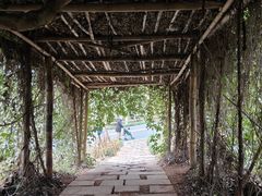 -黄龙溪欢乐田园