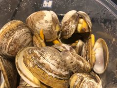 一桶黄蚬子-渔娘渔家丹东海鲜(东直门店)