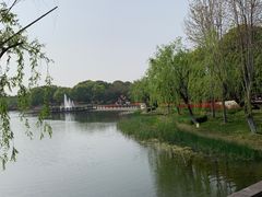 -上海鲜花港
